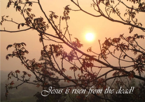 Jesus is risen card